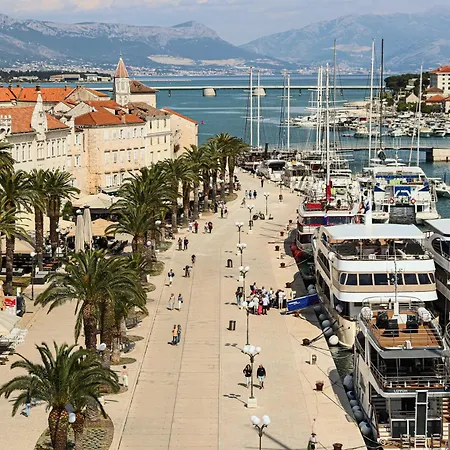 Carlina Amaris Trogir